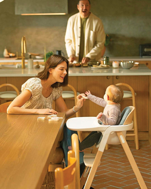 Bryn high chair Heritage colour Nuna