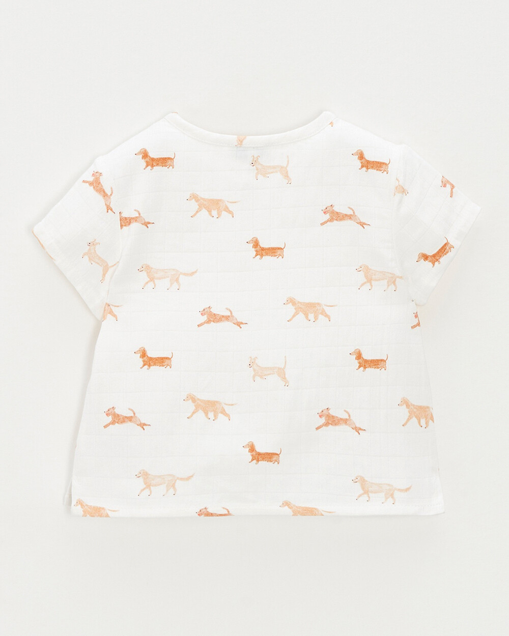 Short-sleeved shirt Dog print  Natalys