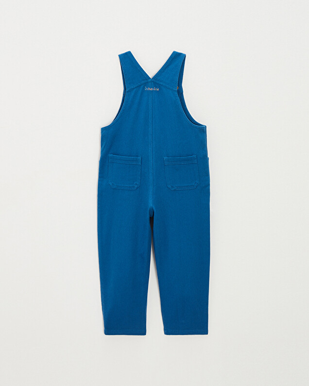 Long twill dungarees Blue colour  Natalys
