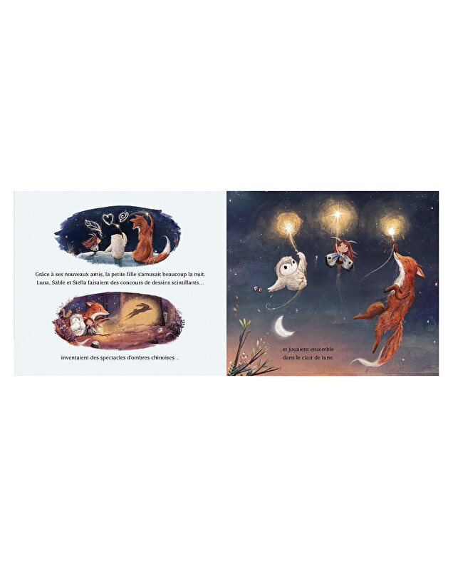 The little light collector Children's book  Kimane