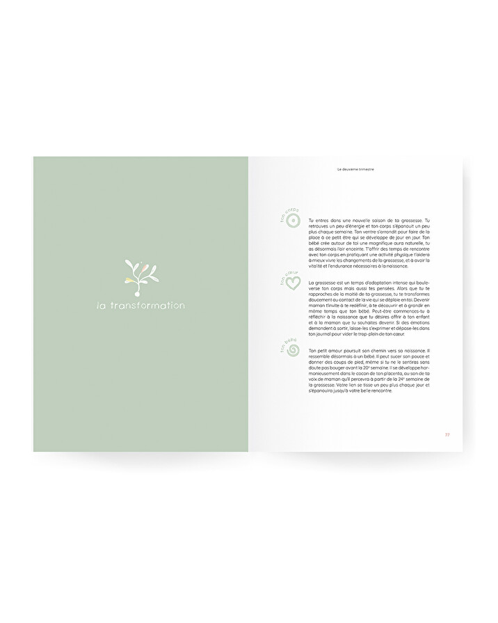 Pregnancy guide Nightlight  Ilado